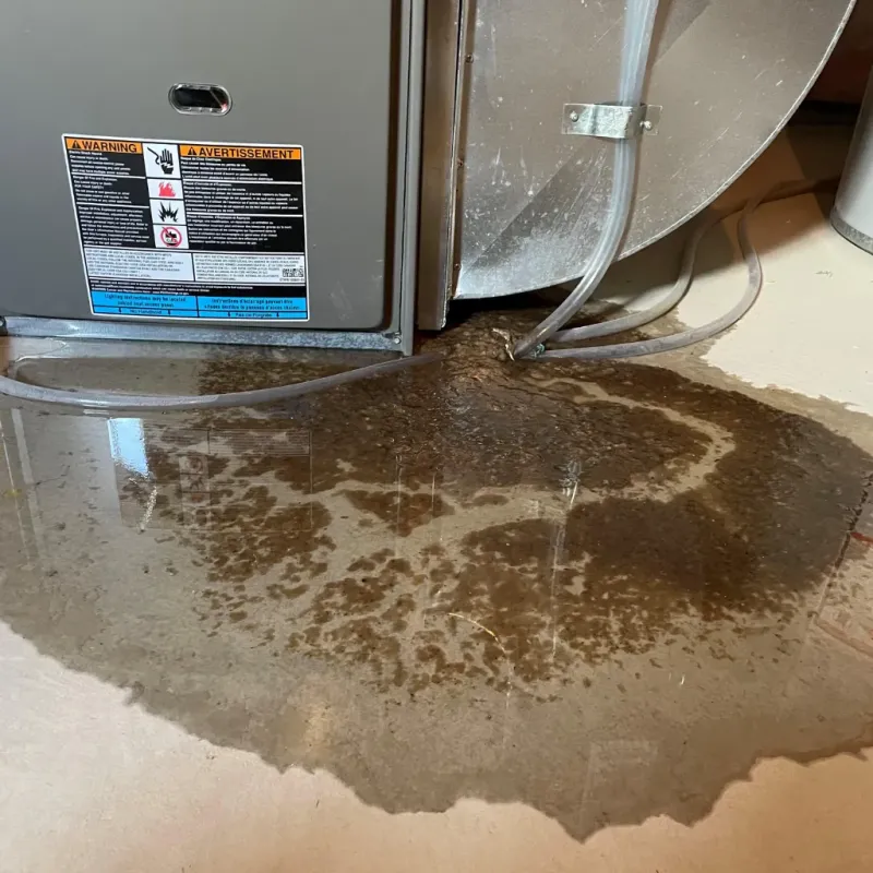 Appliance Leak Cleanup in Dover, VT